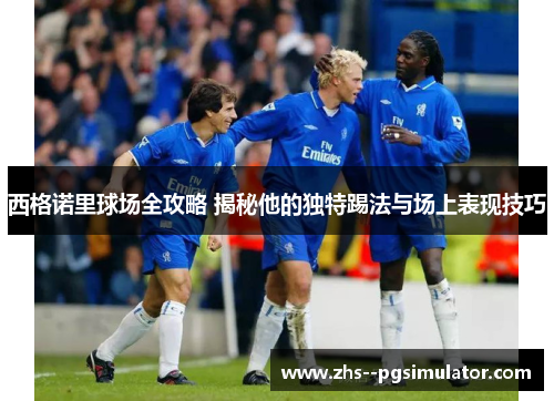 西格诺里球场全攻略 揭秘他的独特踢法与场上表现技巧