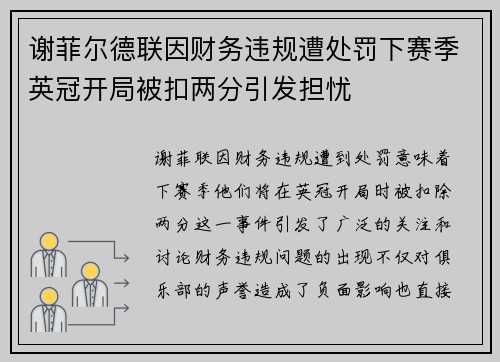 谢菲尔德联因财务违规遭处罚下赛季英冠开局被扣两分引发担忧